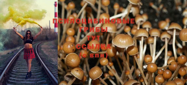 apvp Арсеньев